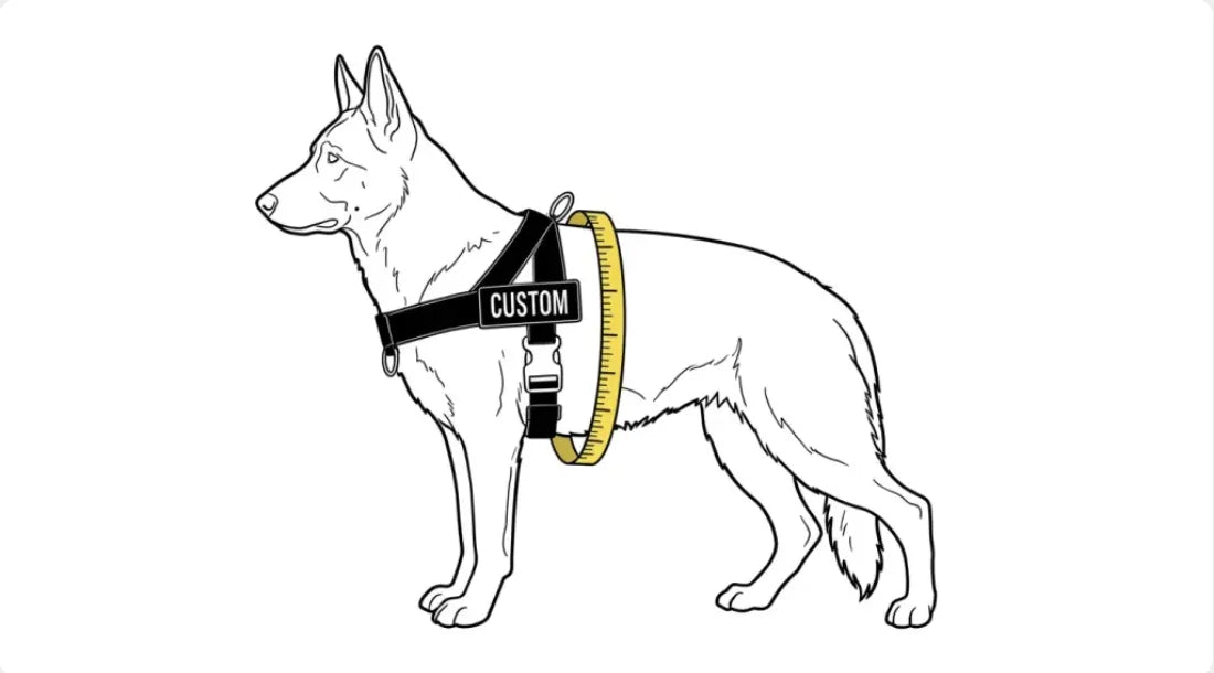 size-graphic.jpg