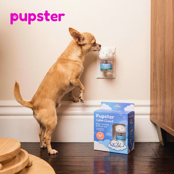 Pupster Diffuser - Calm Cloud