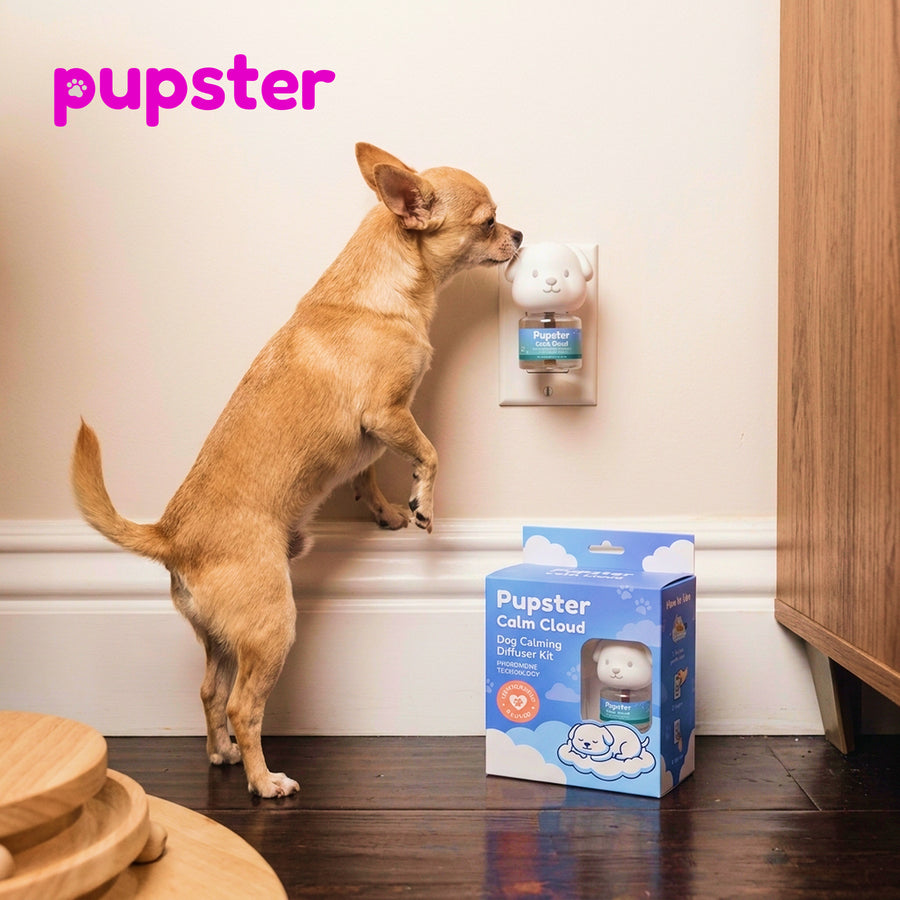 Pupster Diffuser - Calm Cloud
