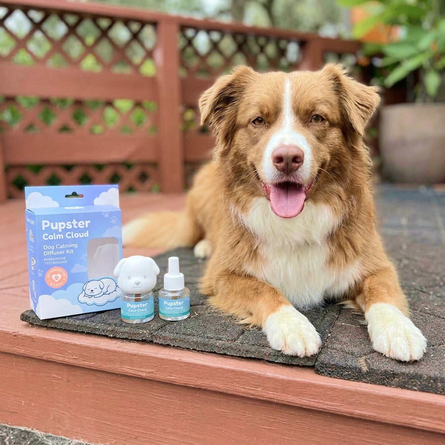 Pupster Diffuser - Calm Cloud