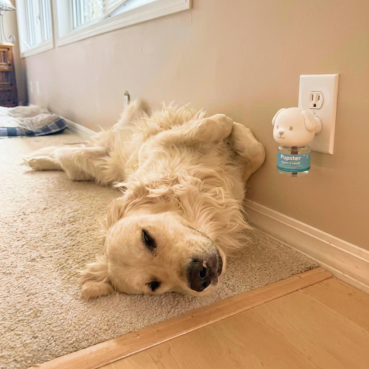Pupster Diffuser - Calm Cloud