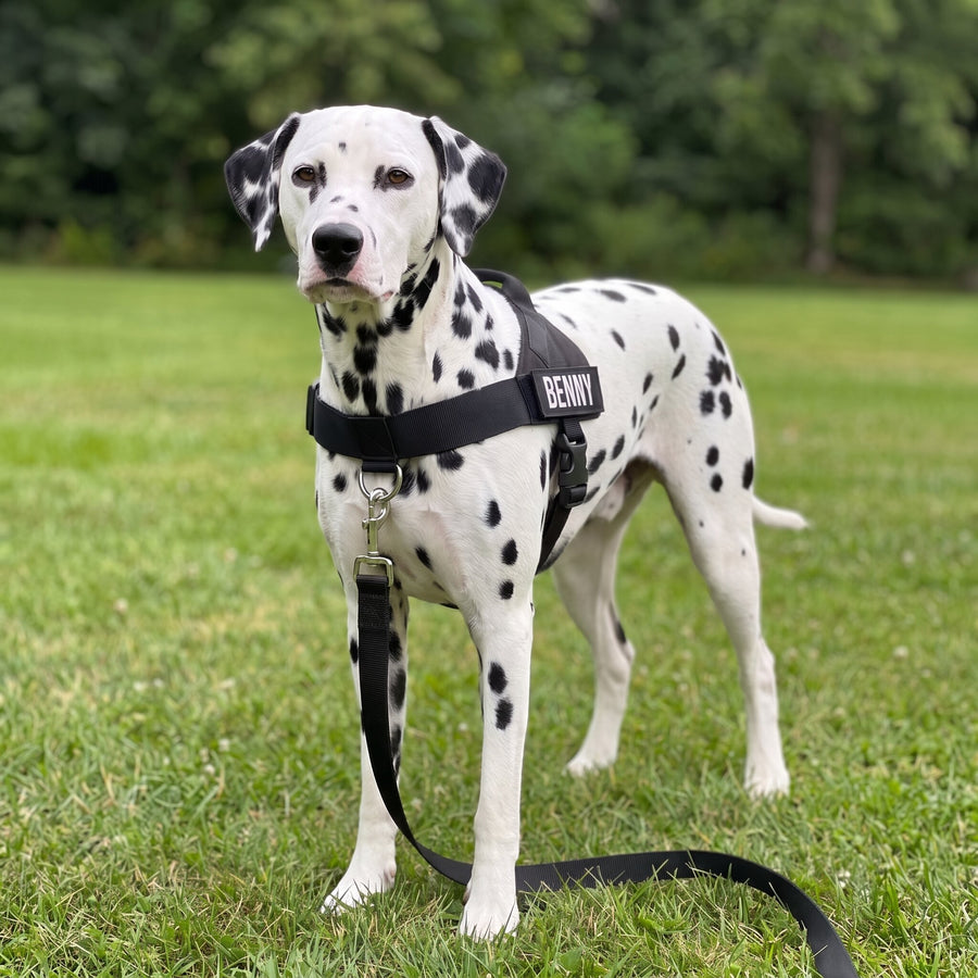 BetterWalk™ No-Pull Harness