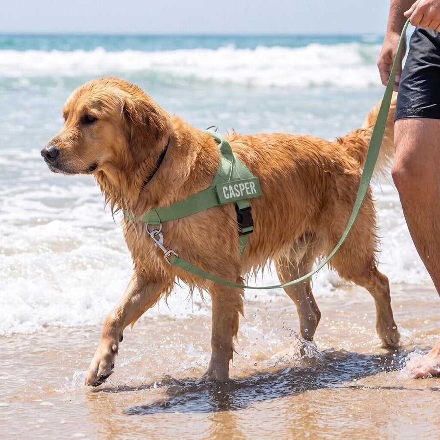 BetterWalk™ No-Pull Harness