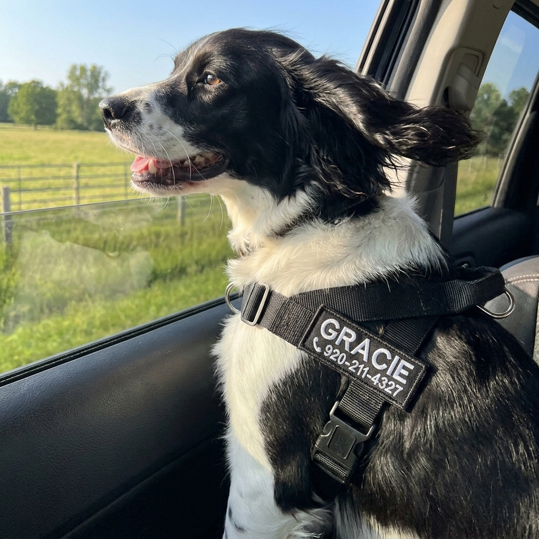 BetterWalk™ No-Pull Harness