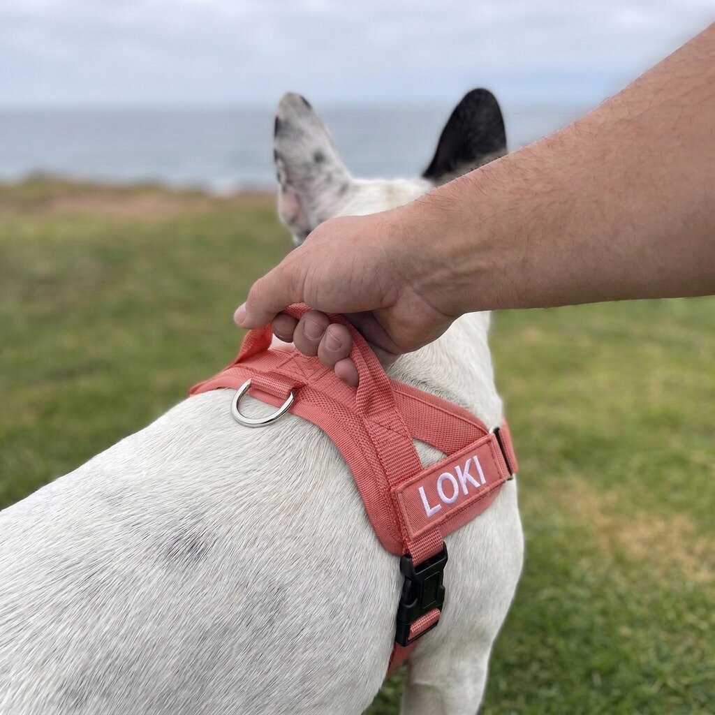 BetterWalk™ No-Pull Harness
