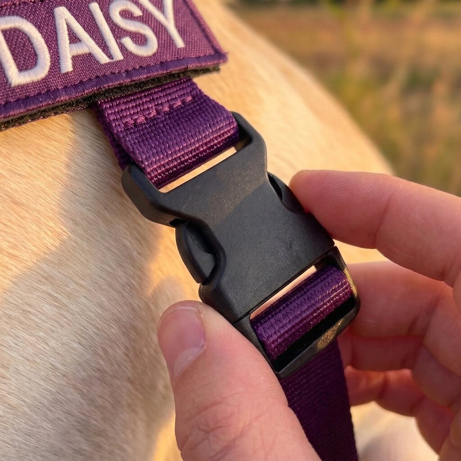BetterWalk™ No-Pull Harness