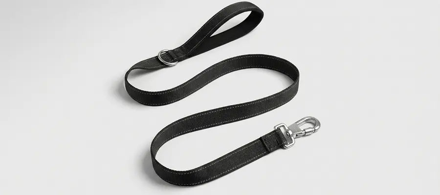 leash.jpg