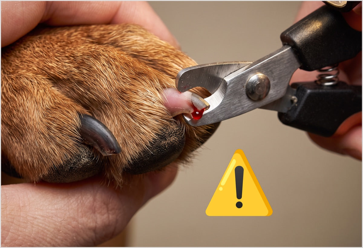 Danger of Over-Trimming